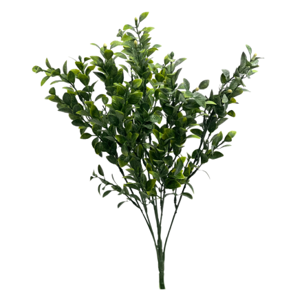 17" Tea Leaf Bush