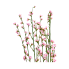 37.5" Plumb Blossom Bush-Pink
