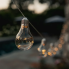 Solar Socialite String Light Bulbs