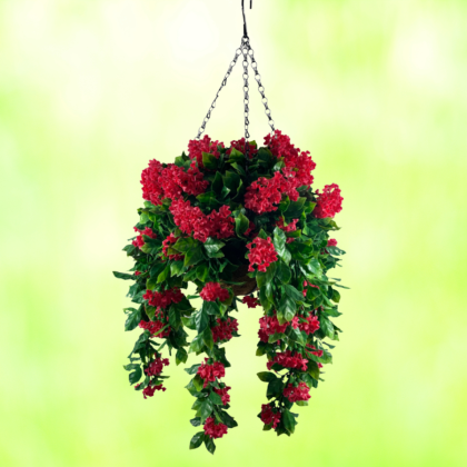 Lilac Hanging Baskets