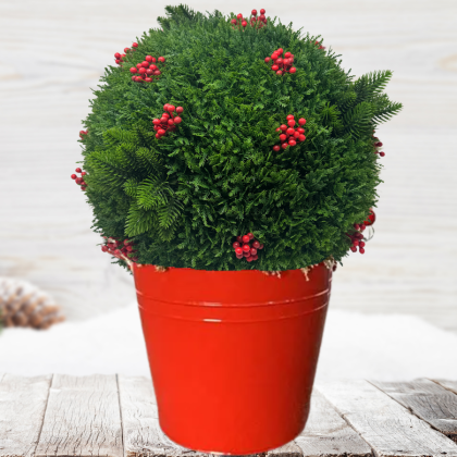 Cedar & Berry Greenery