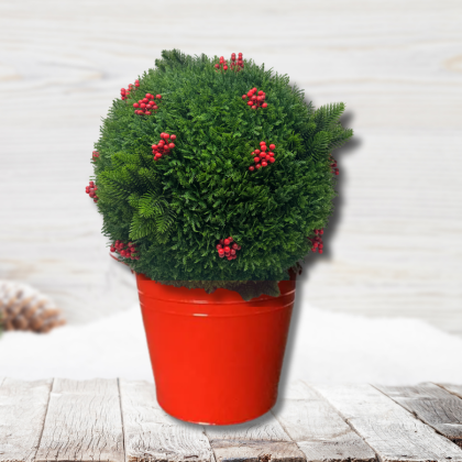 Cedar & Berry Greenery