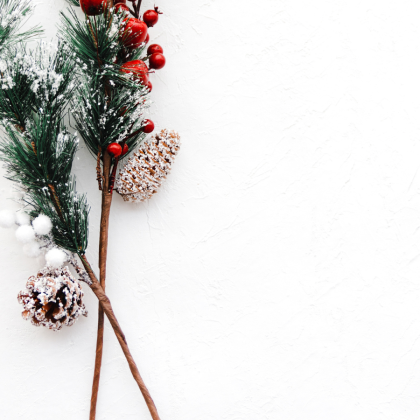 Christmas Picks