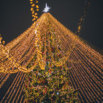 Lights & Accessories