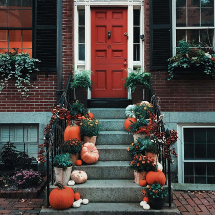 Fall