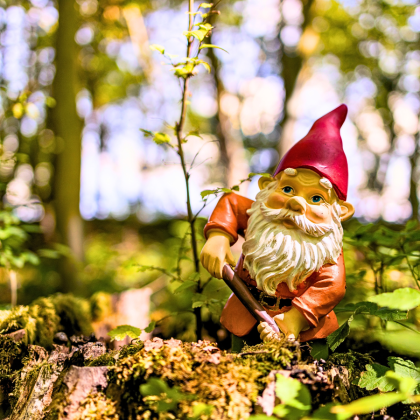 Garden Gnomes