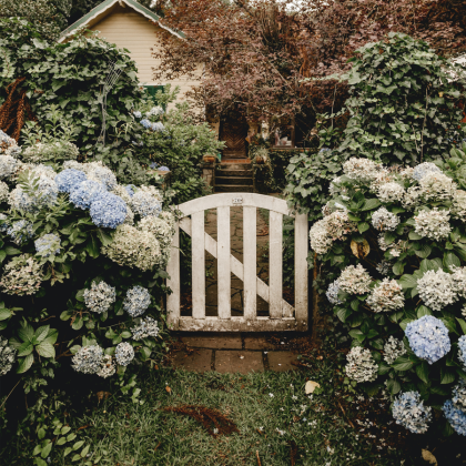 Lawn & Garden