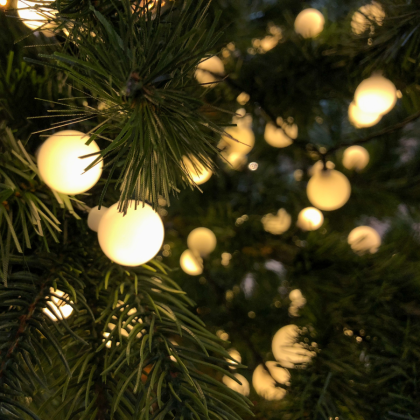 Lighted Greenery