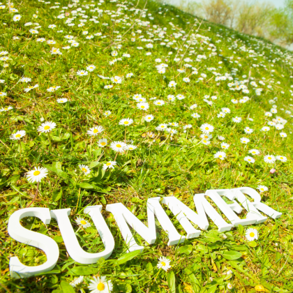 Summer Yard Decor