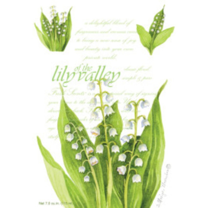 Lily Of The Valley Sachet Scent Packet