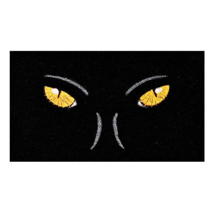 Black Cat Eyes on Black Doormat