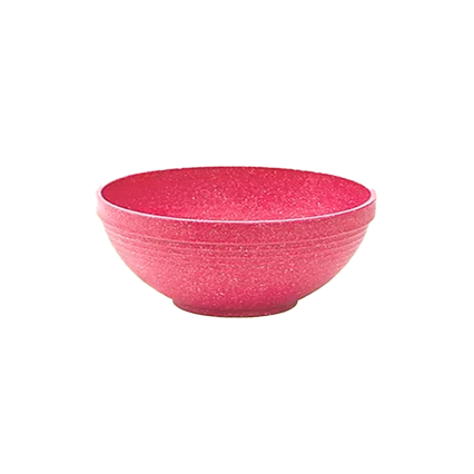 10"x4" Bowl- Watermelon