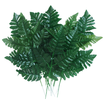 15" Leather Fern Bundle