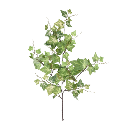 24" Ivy Spray