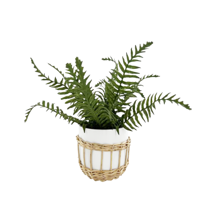 Artificial Fern in Ceramic Pot W/ Weave Basket Cover