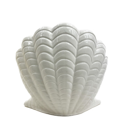 Open Clam Shell Vase - White