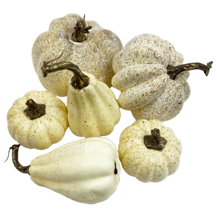 6pc Bag of Pumpkins & Gourds - Orange