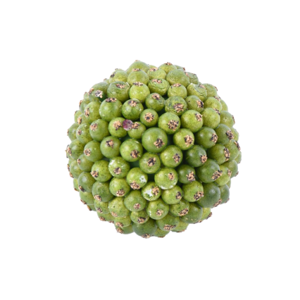 3" Berry Ball Orb- Green