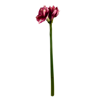 26" Real Touch Amaryllis Stem- Hot Pink