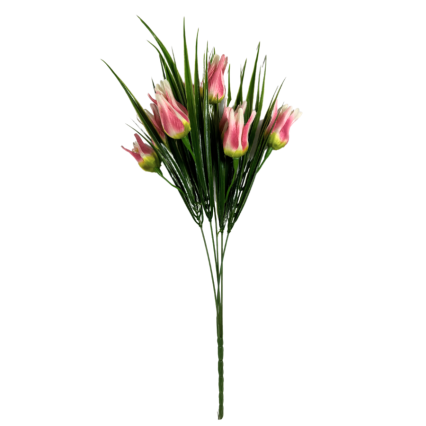 17" Miniature Wild Tulip Bush- Light Pink