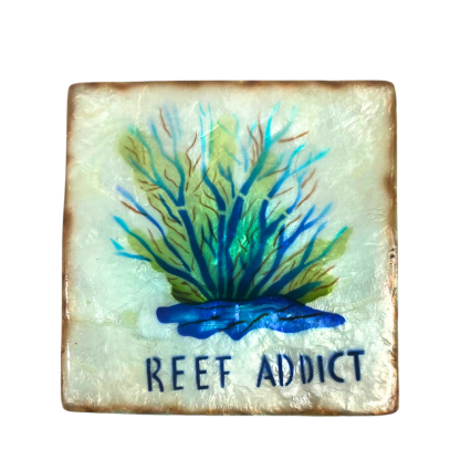 3" Capiz "Reef Addict" Trinket Box
