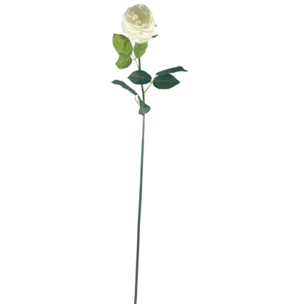 30" Cabbage Rose Stem - Cream