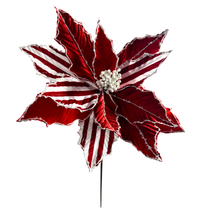 20" Red & Whited Stripe Poinsettia