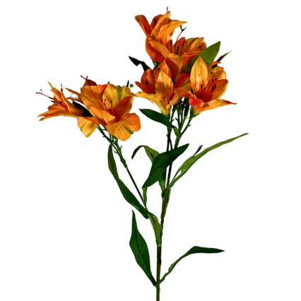 28" Alstroemeria Spray- Orange