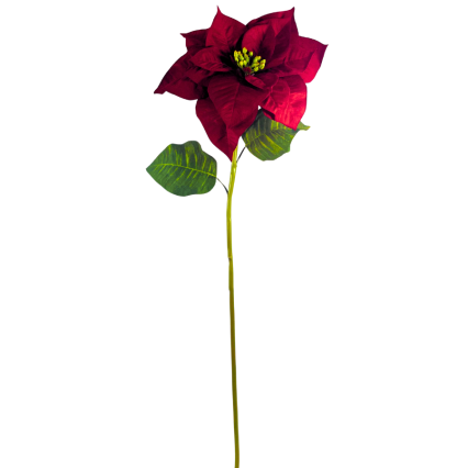 30" Red Poinsettia Natural Stem