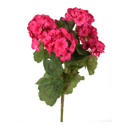 18" Geranium Bush- Fuchsia