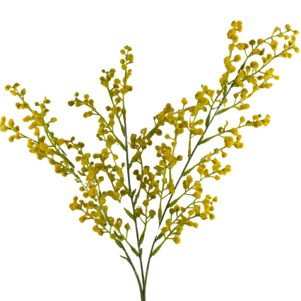 27" Mimosa Spray