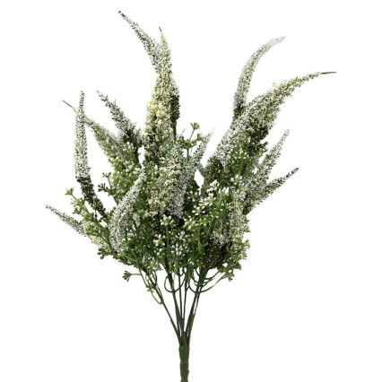 20" Astilbe Mix Bush- Cream