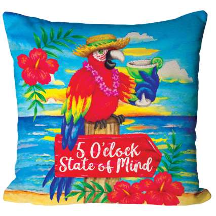 17" State of Mind Pillow