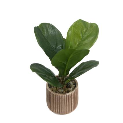 10.5"H Fiddle Leaf Plant in Textured Cement Pot