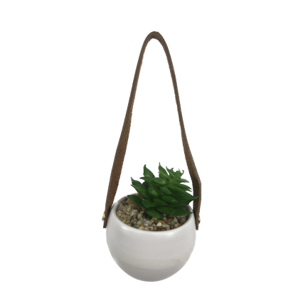 6.5"L Mini Succulent with Leather Hanger