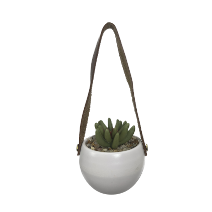 6.5"L Mini Succulent with Leather Hanger