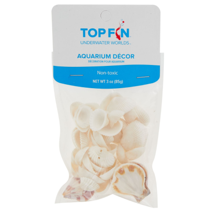 Assorted Natural Seashells