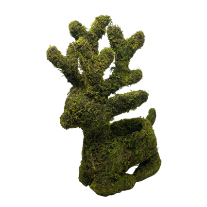 17" Sitting Reindeer Deco Moss Planter