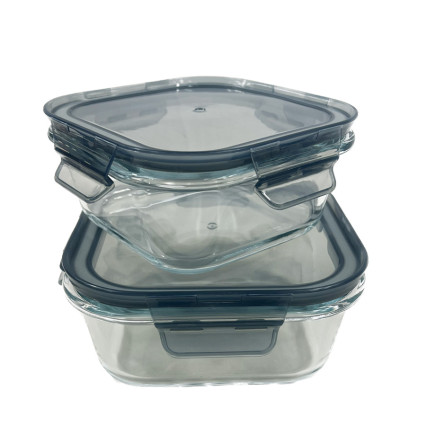 2 Piece Glass Food Storage