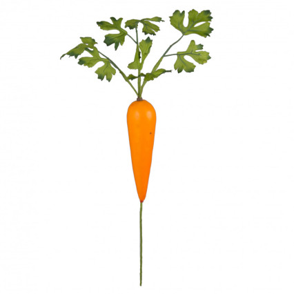 18" Carrot Pick