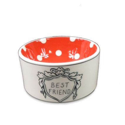 Best Friend Ceramic Food Bowl