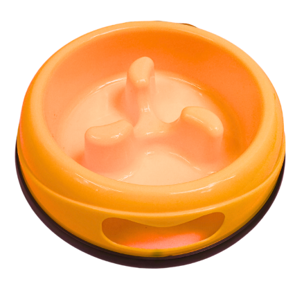 Slow Feeder Pet Bowl OR
