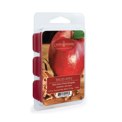 2.5oz Wax Melt-Spiced Apple