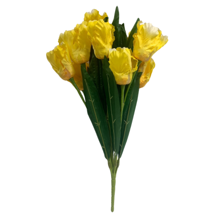 21" Tulip Bush - Yellow
