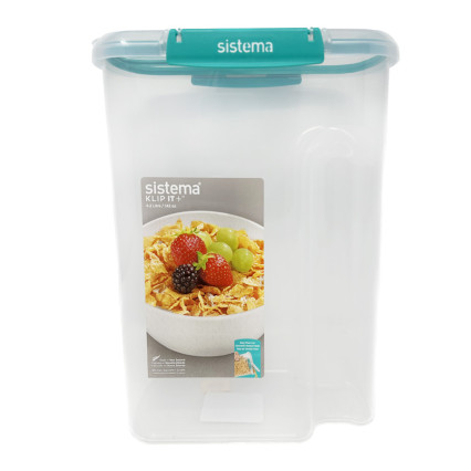 4.2"L Food Storage Container