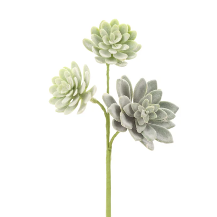 12" Succulent Spray