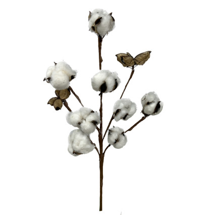18" Cotton Pods on Twig Pick