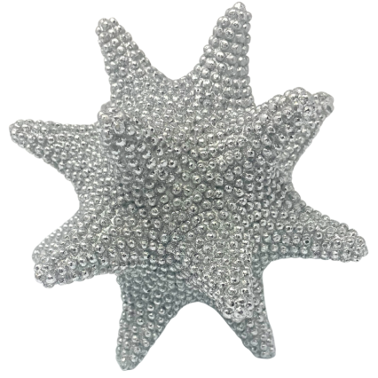 6" Beaded Sunflower Sea Star - Silver