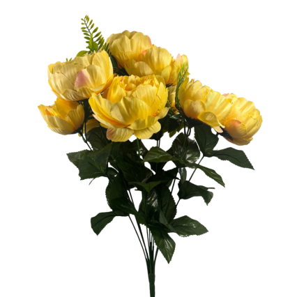 20" Cabbage Rose Bush-Yellow