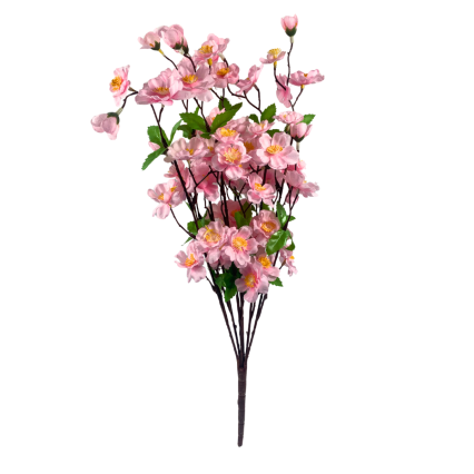 Plum Blossom Bush - Light Pink